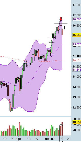 Movimento FIB Bear